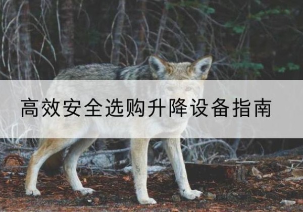 北海升降货梯厂家推荐-*安全选购升降设备指南