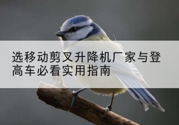 北海电动升降机厂家-选移动剪叉升降机厂家与登高车必看实用指南