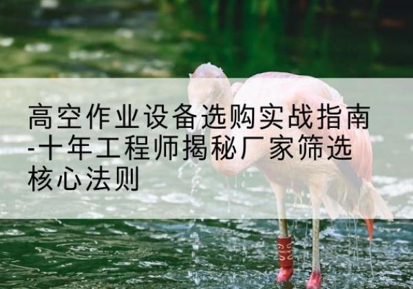 北海剪叉式升降机厂家-高空作业设备选购实战指南-十年工程师揭秘厂家筛选核心法则